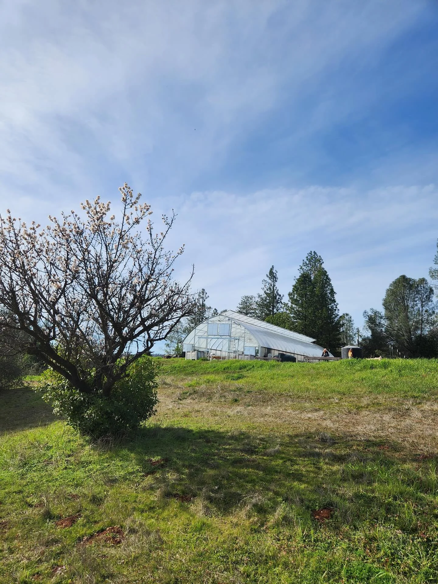 Continuing with my 30th year of Mountain Bounty reflections, I&rsquo;ve been wondering if by virtue of sticking around, we&rsquo;ve succeeded. Persistence can be easy to celebrate in hindsight. And it&rsquo;s much harder to live inside while it&rsquo