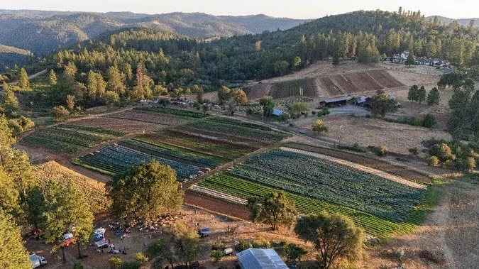 I keep mentioning cover crops in this newsletter, and I received a request to share more info about cover cropping and what it means. I have written about this before but here you have it if you missed it.

We generally plant cover crops in the fall 