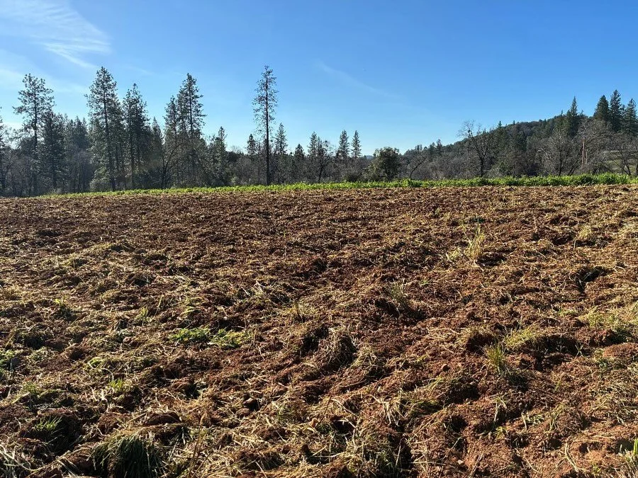 Ok, back to the weather. I can&rsquo;t leave it for too long, like a dog with their bone. As anyone who&rsquo;s been around here for awhile knows, a dry period in the middle of winter isn&rsquo;t that unusual. But unfortunately this one is pushing th