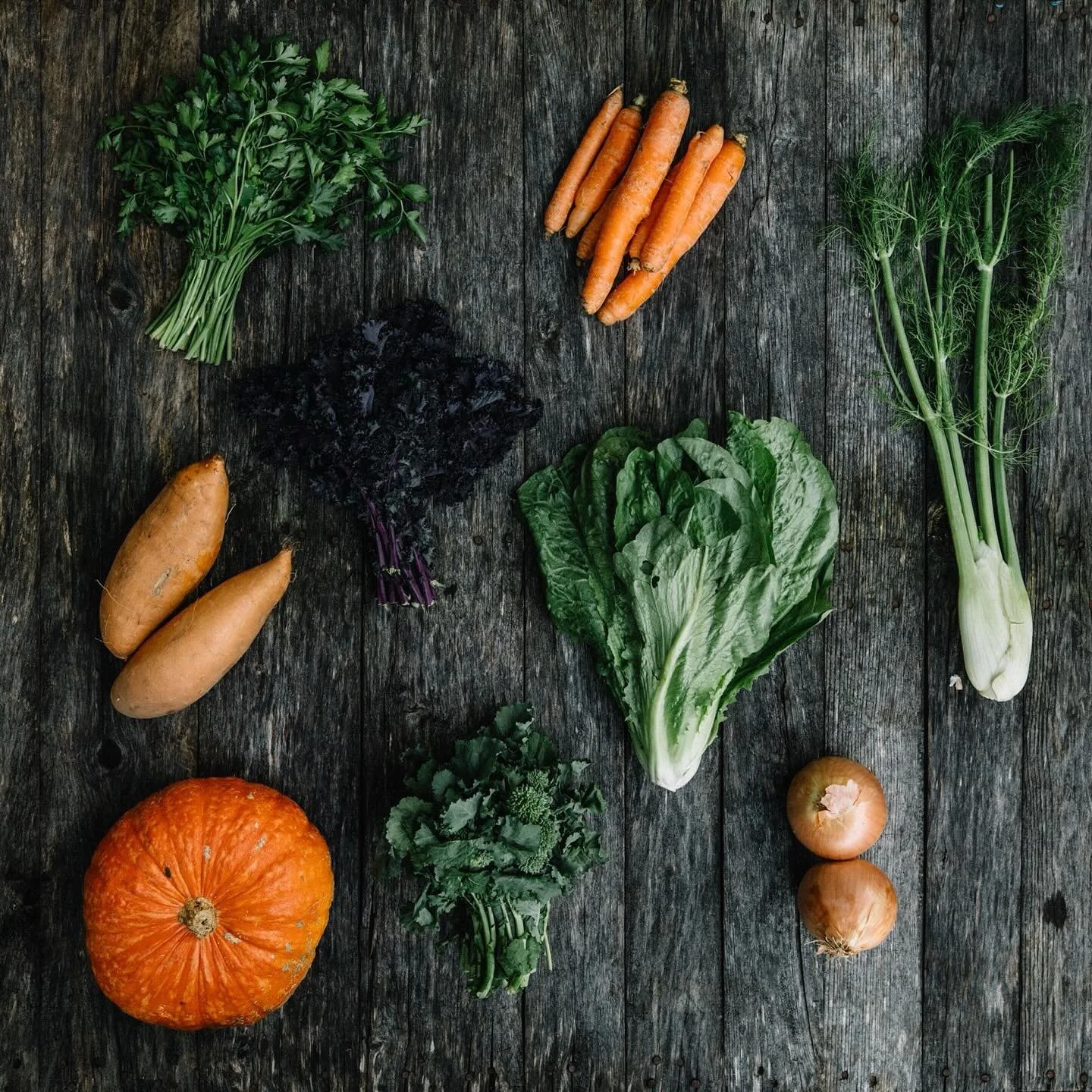 One of the more common things we hear from CSA members (especially newer ones) is this: &ldquo;I absolutely love the box&hellip;but sometimes I don&rsquo;t know what to do with everything.&rdquo;

Busy lives and creative, healthy cooking can sometime