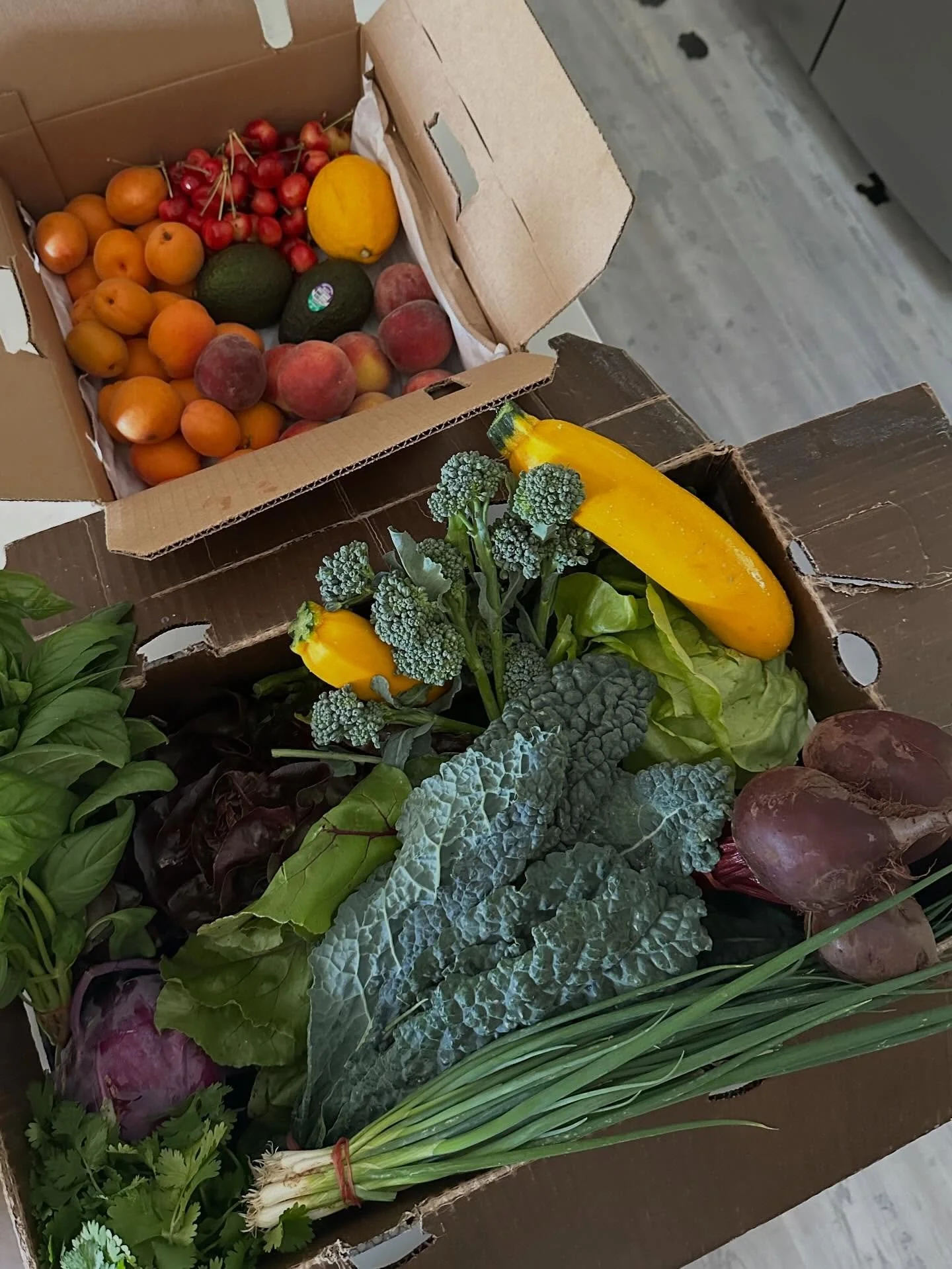 In case you missed it last week, we are encouraging our community and CSA members to help us with our 50 Member Challenge. 

Two years ago, we made a difficult change to our CSA policy by limiting the number of holds members could place on their boxe