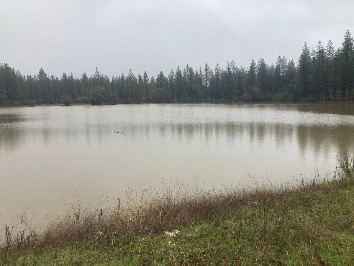 Ok, weird weather comment # 3,647. People keep asking how the record warm winter has affected the farm. I touched on this briefly earlier, noting that we&rsquo;d likely have more greens earlier than usual. Last week&rsquo;s harvest of arugula and bra