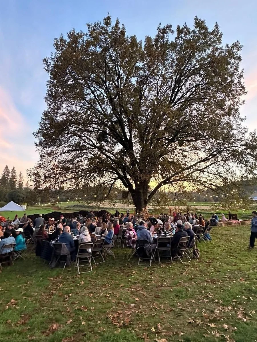 Last weekend I was lucky to attend a benefit dinner for the North Columbia Schoolhouse. It was a wildly creative and inspirational evening. I won&rsquo;t regale you with all the details, but one thing our hosts did really stuck with me. They asked us
