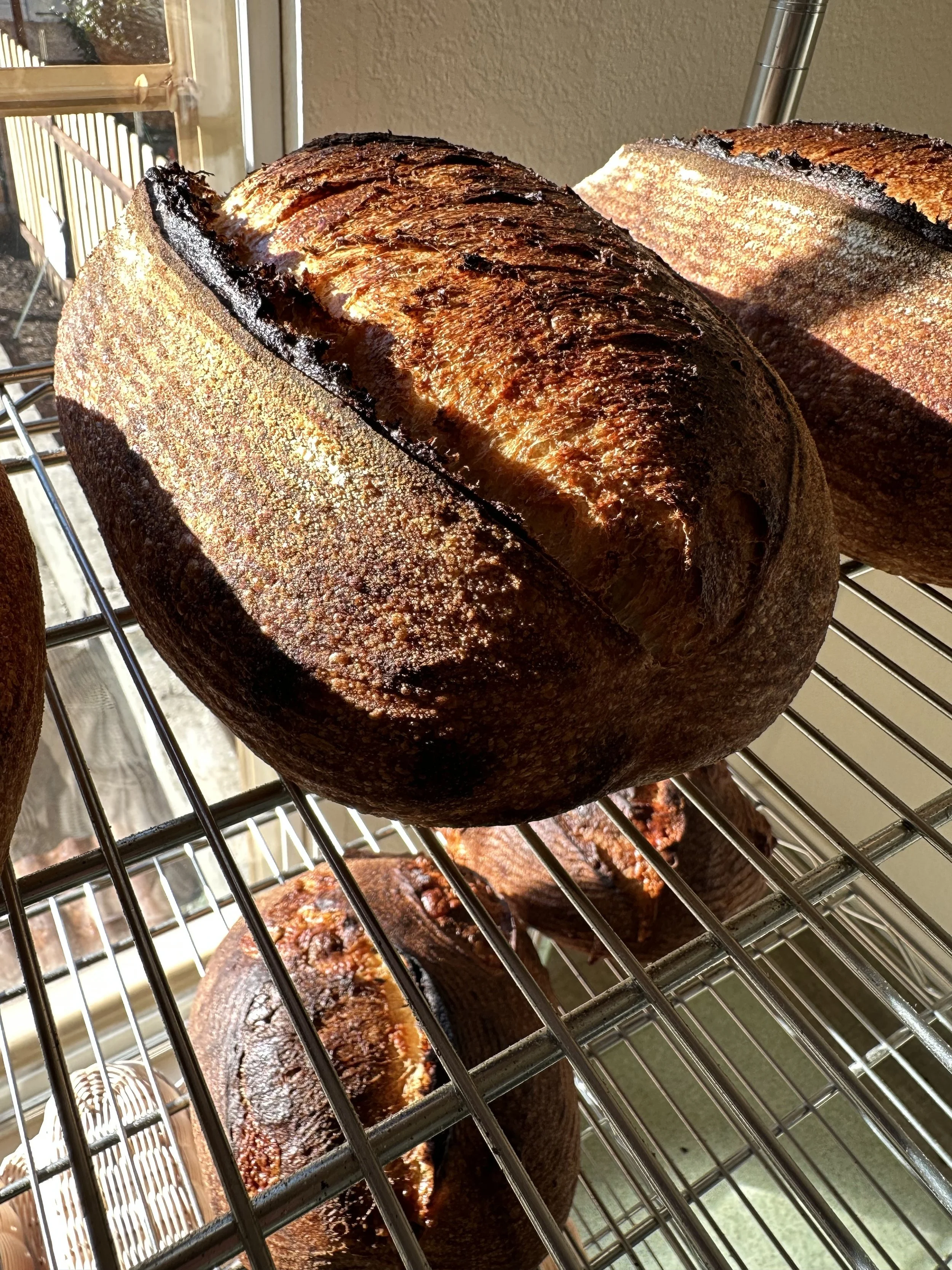 Mountain Bounty Farm — Bread Share