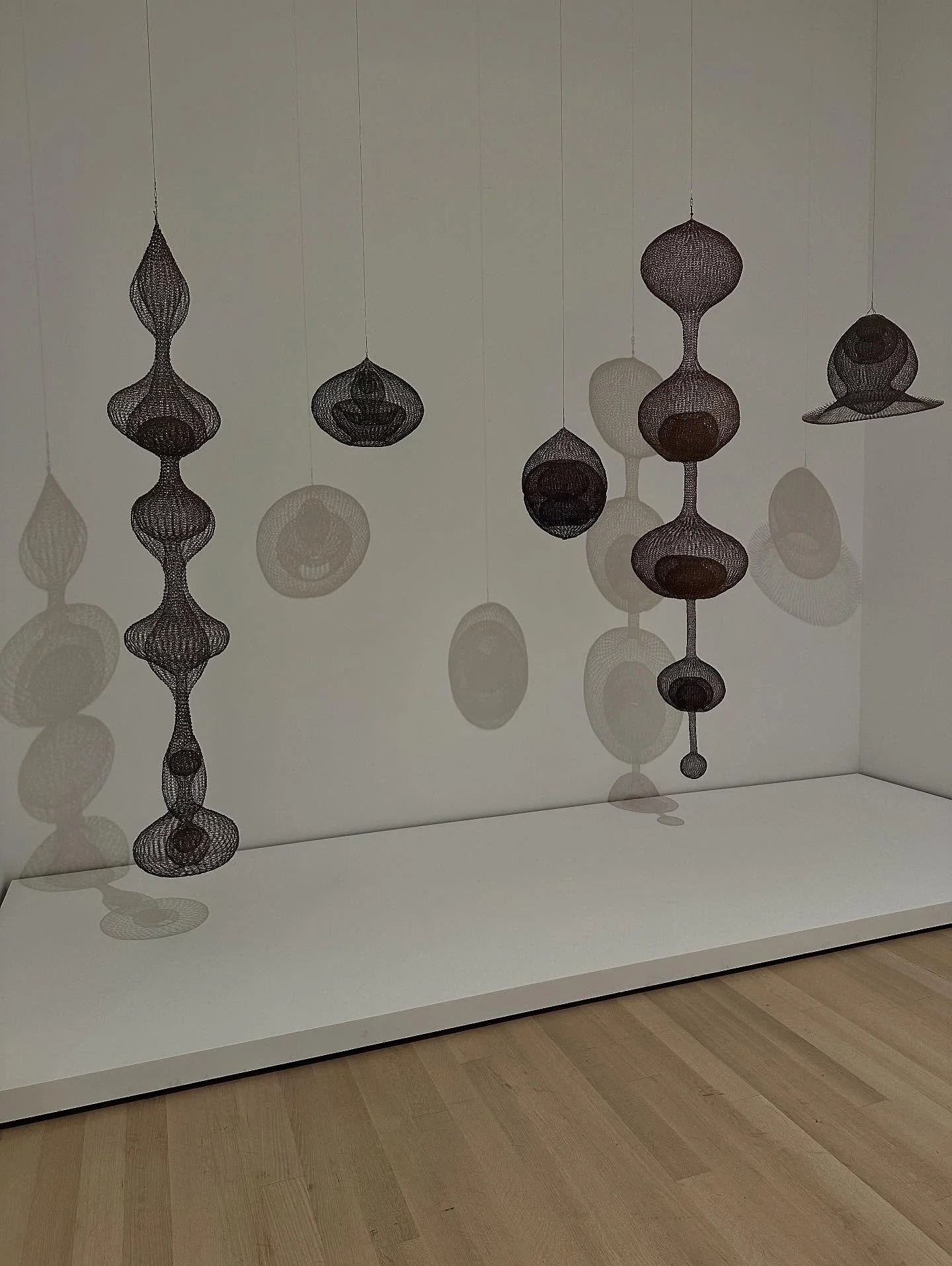 Something worth leaving the house for on this terribly stormy day&hellip; the APAA @the_apaa tour of &ldquo;Ruth Asawa: A Retrospective&rdquo; at the MoMA @themuseumofmodernart with Associate Curator Cara Manes @cmanes. A breathtakingly beautiful sho