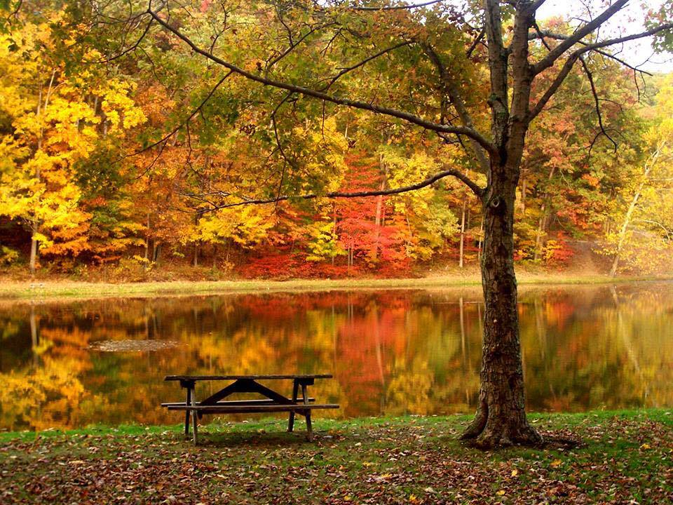 Photo by R uth Teeters at Scioto Trails State Park in Chillicothe, Ohio