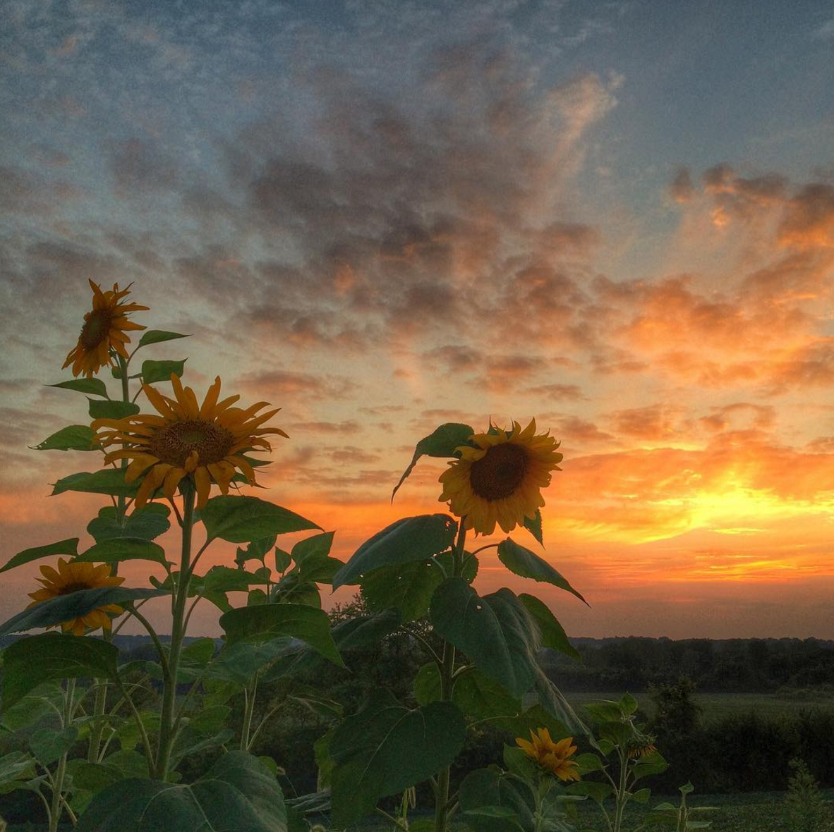 Photo by @jimcrottyphotog at Beavercreek Wetlands in Xenia, OH