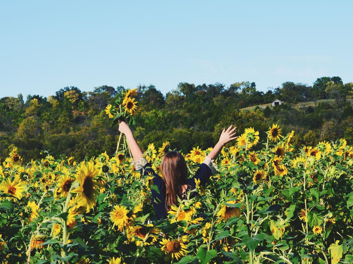 Photo by @brookewallace3 at Gorman Heritage Farm in Evendale, OH