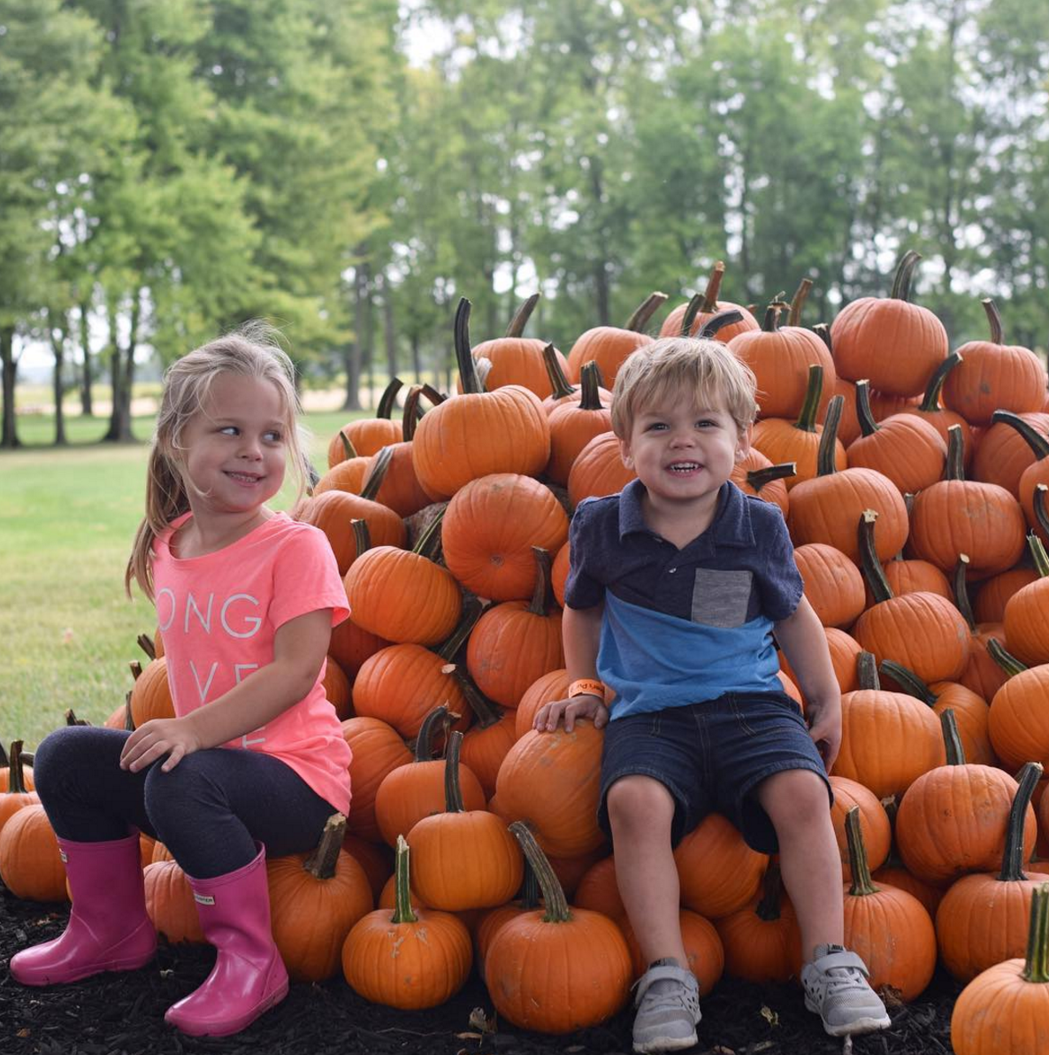 Photo by @littleadvcbus at Lehner's Pumpkin Farm in Radnor, Ohio