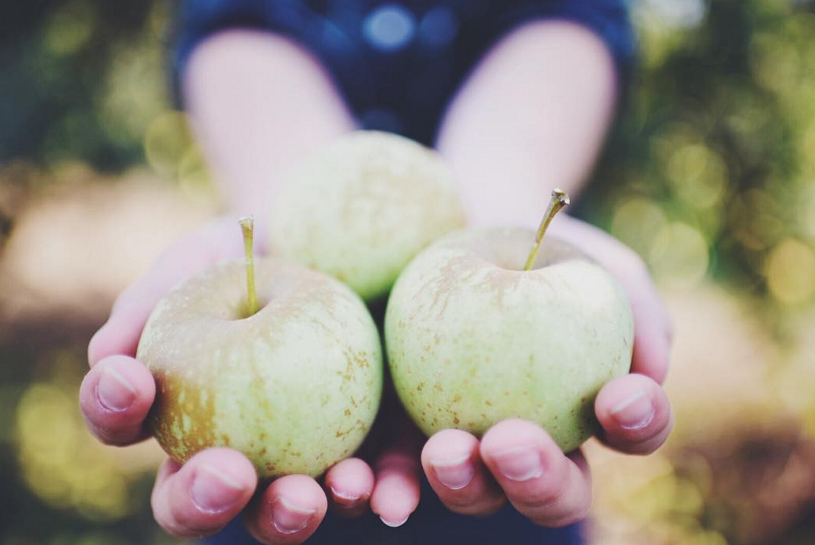 Photo by @gentryts at A&M Farm Orchard in Midland, Ohio