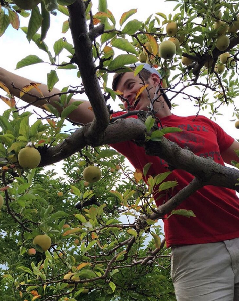 Photo by @_jacobweber at Hirsch Fruit Farm in Chillicothe, Ohio