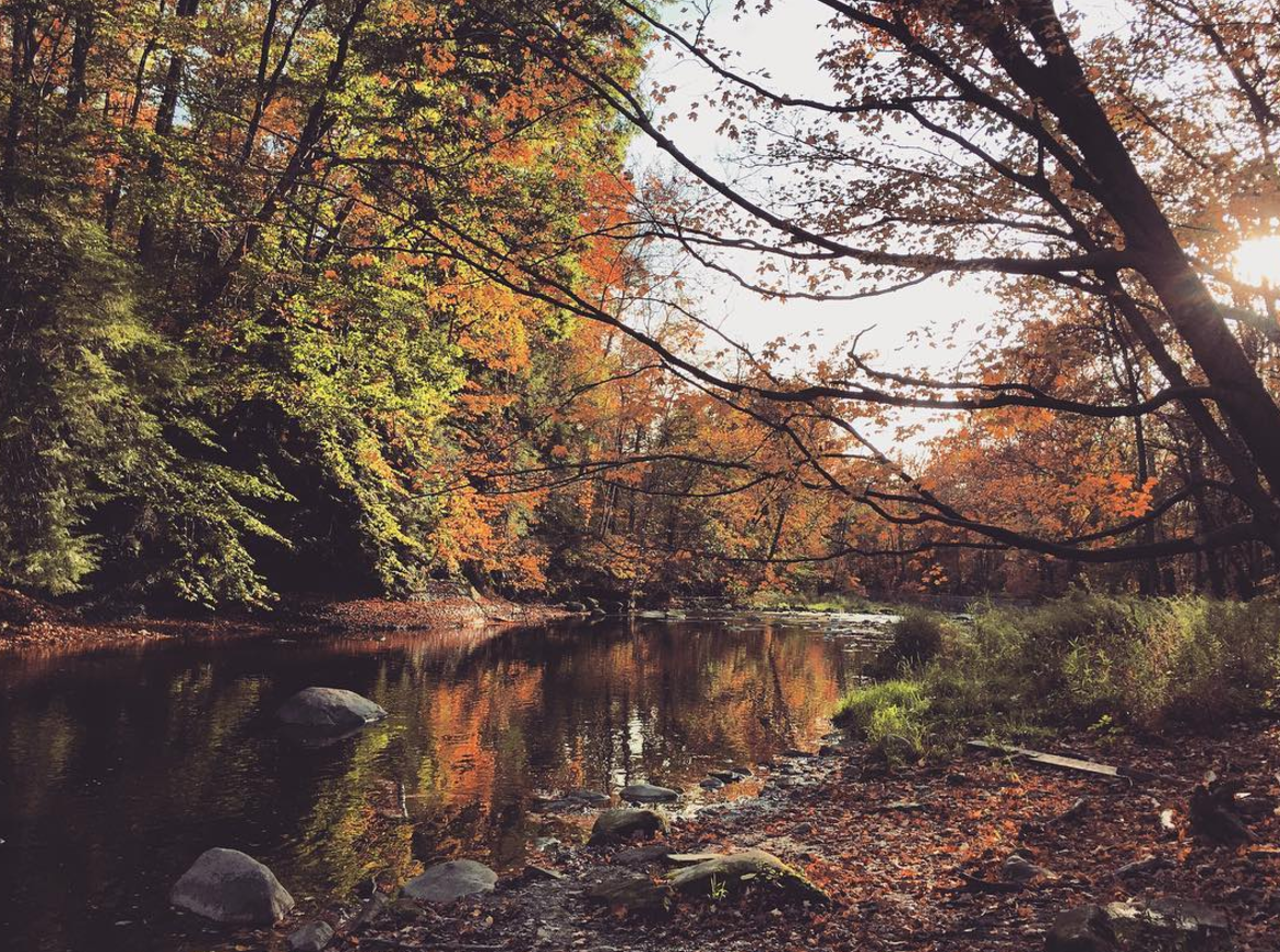 Photo by @whimseycraft_ at Tinker`s Creek State Nature in Aurora, Ohio