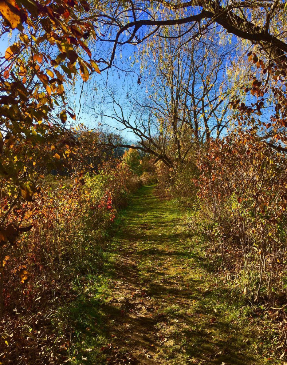 Photo by @tensaicl8 at Tinkers Creek State Park in Aurora, Ohio