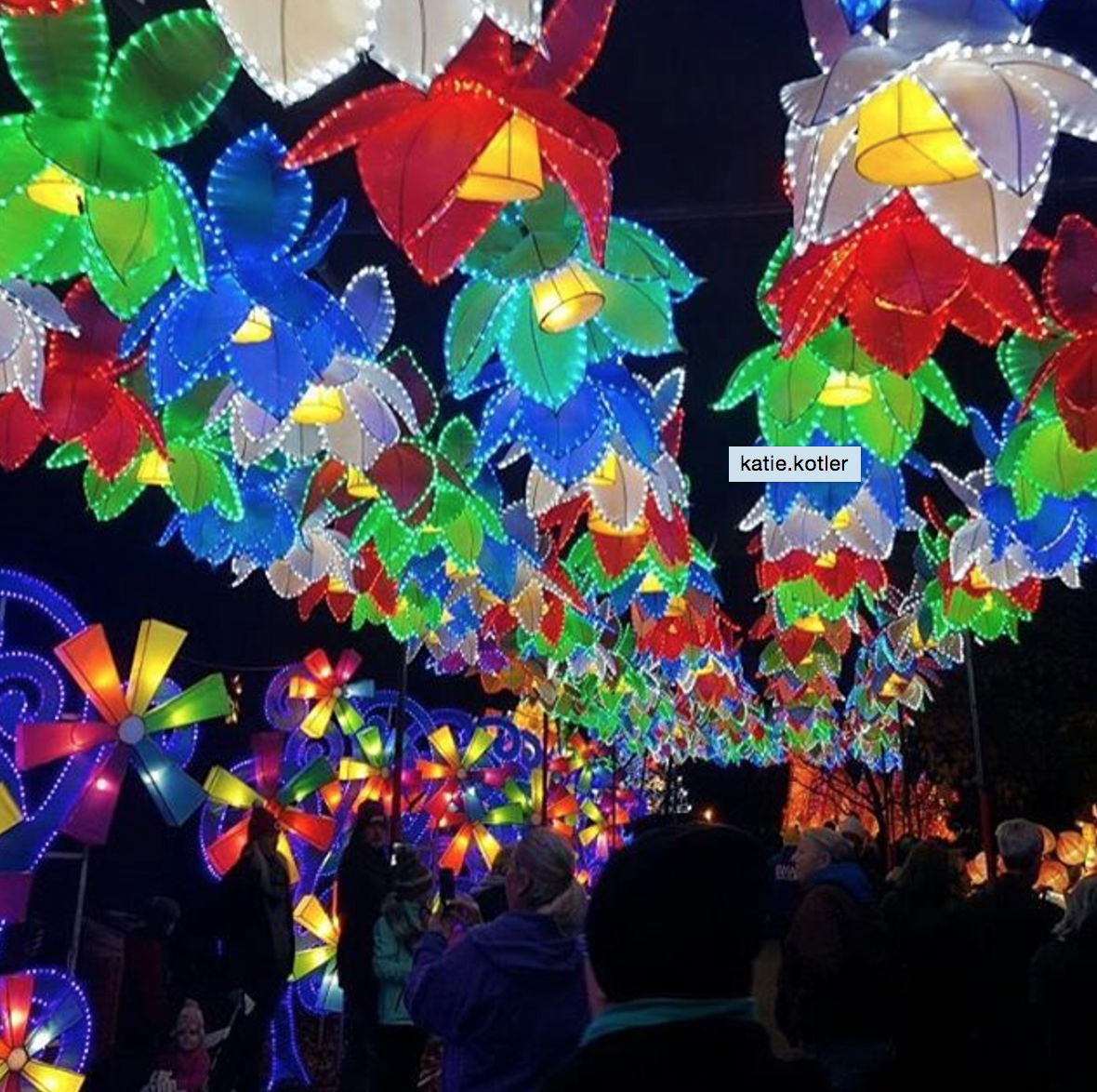 Photo by @katie.kotler at the Ohio Chinese Lantern Festival in Columbus, Ohio