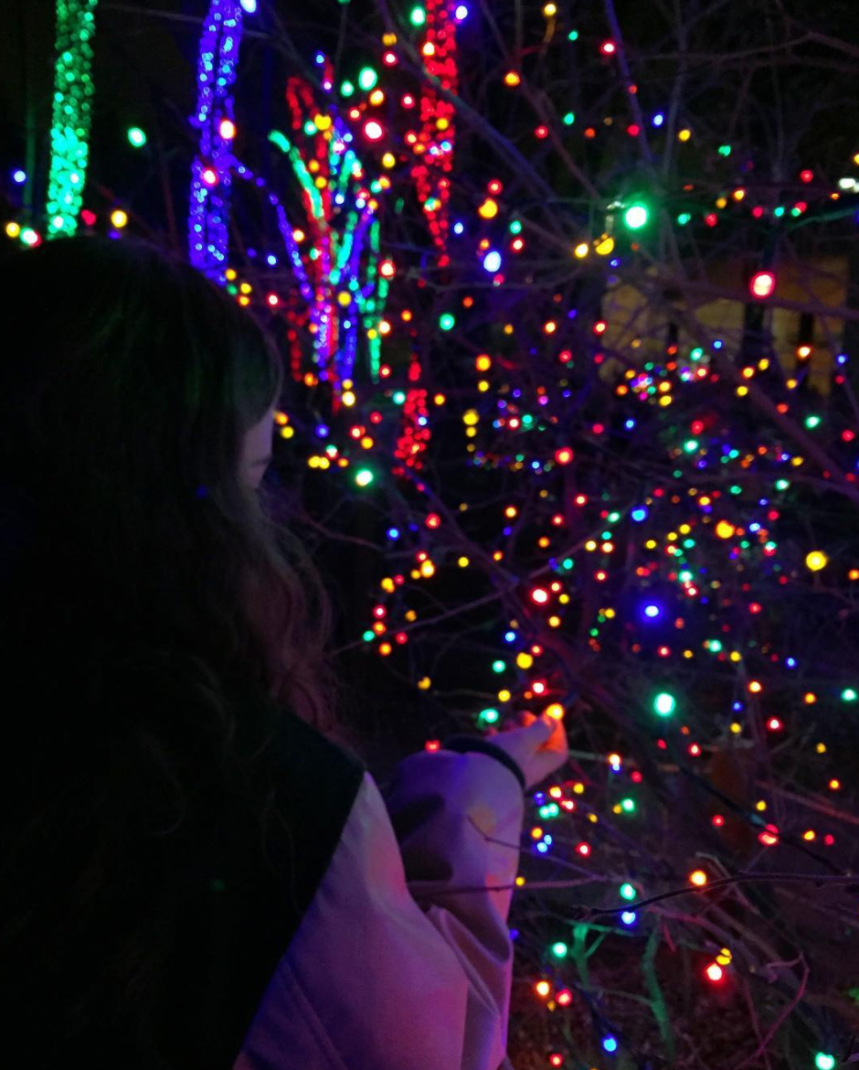 Photo by @eva_rudow at Lights Before Christmas at the Toledo Zoo in Toledo, Ohio