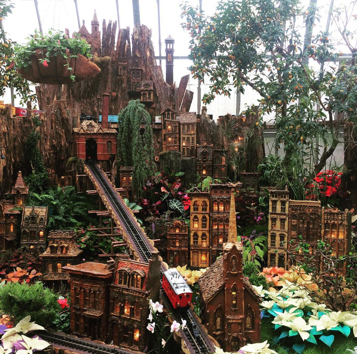 Photo by @realfoodbrandae at Krohn Conservatory in Cincinnati, Ohio