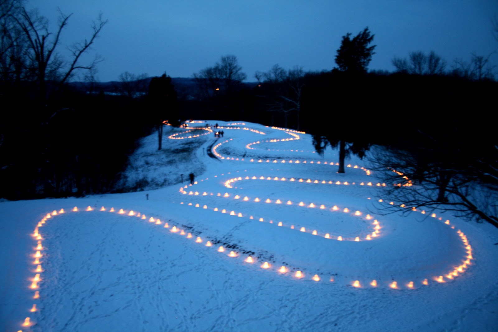 Photo via The Columbus Free Press at the Lighting of the Serpent
