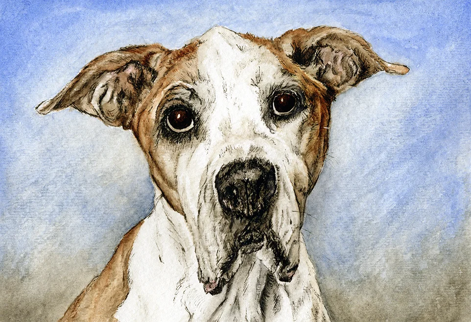 Watercolor_Daisy_web.jpg