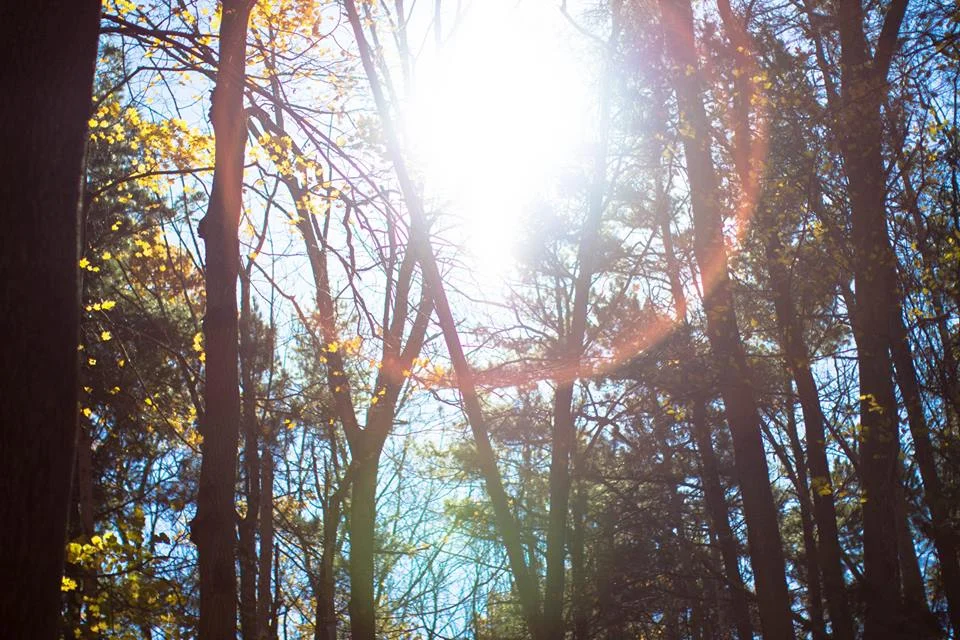 Sun Orb