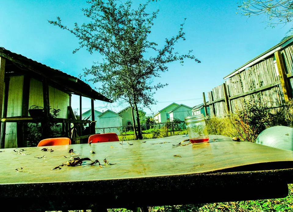 Ninth Ward