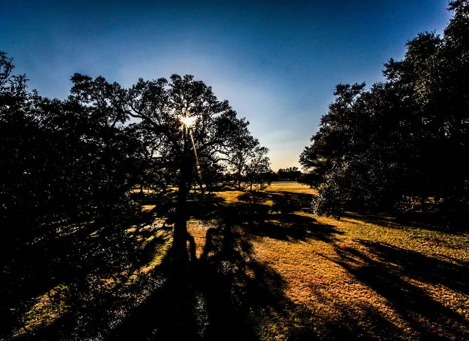 Sunset Shadows