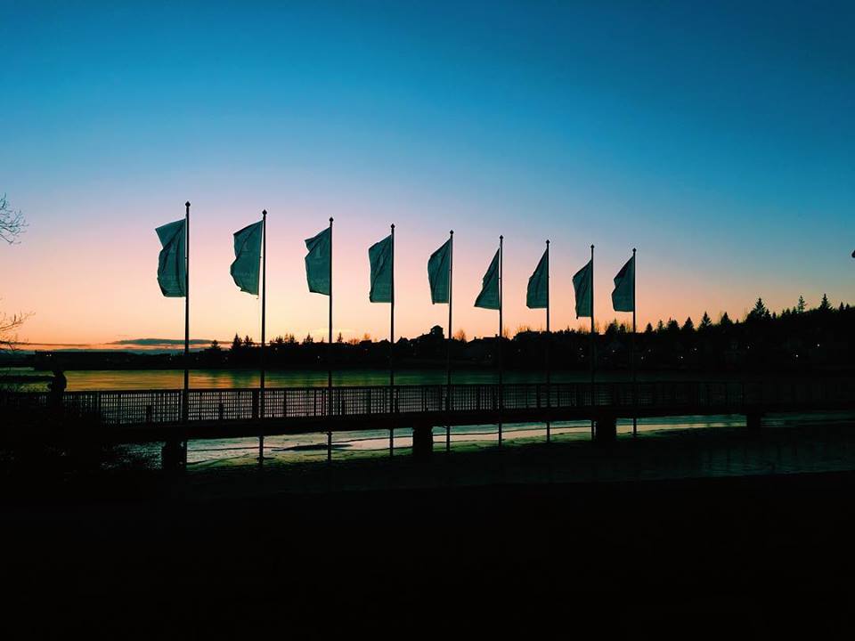 Flag Sunset