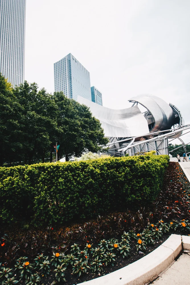 Downtown Chicago II