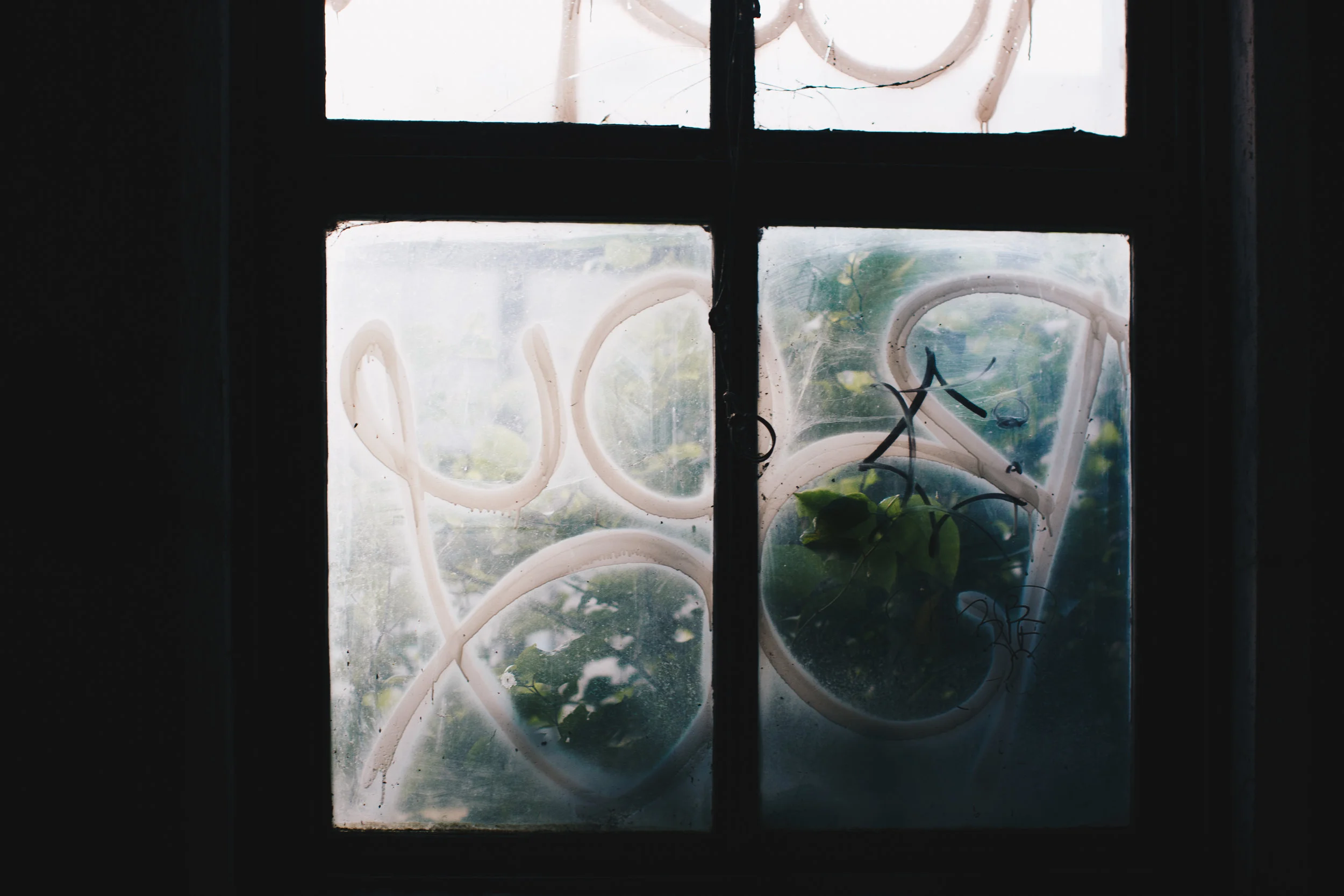 Window