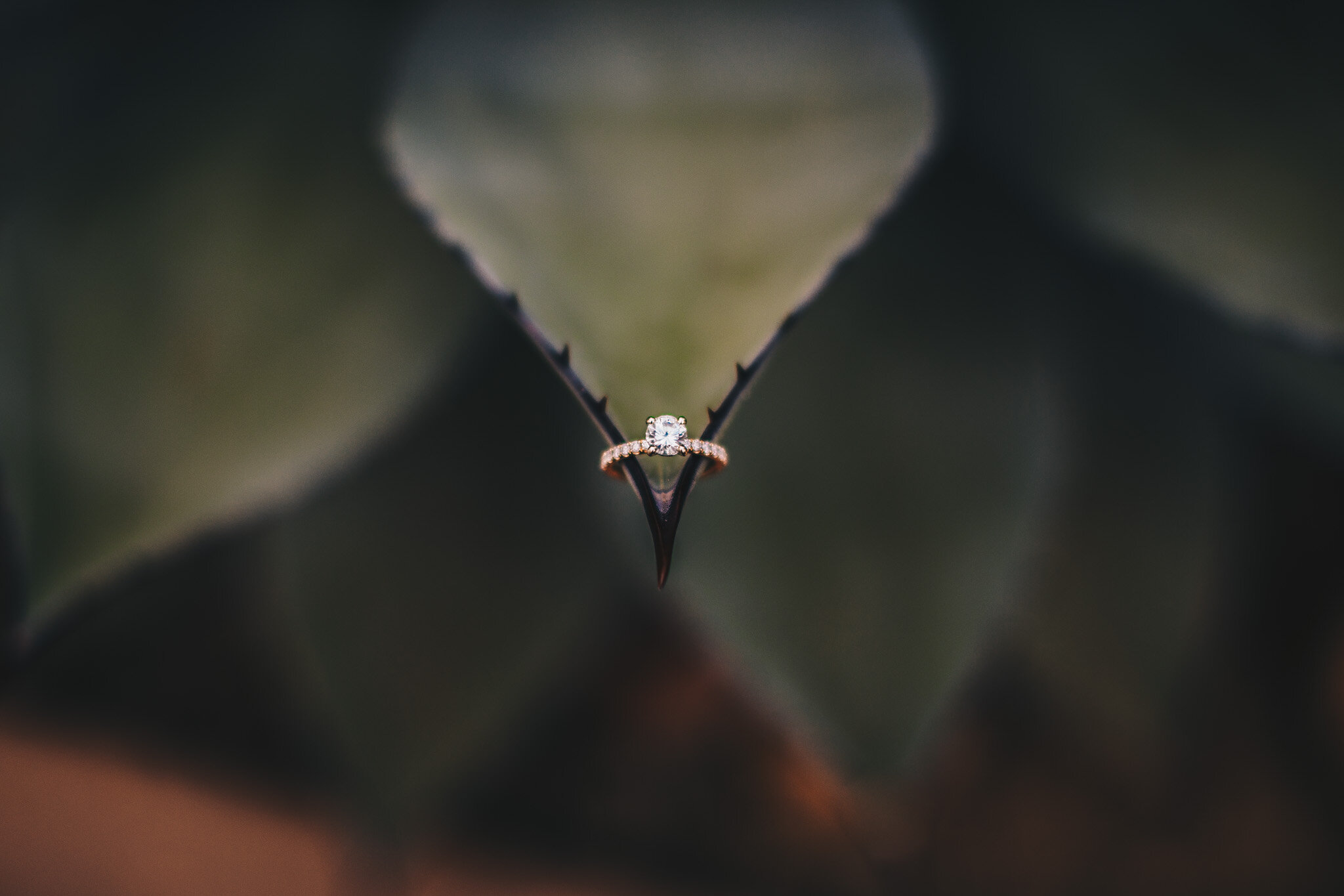 Morgan + Erik-439.jpg