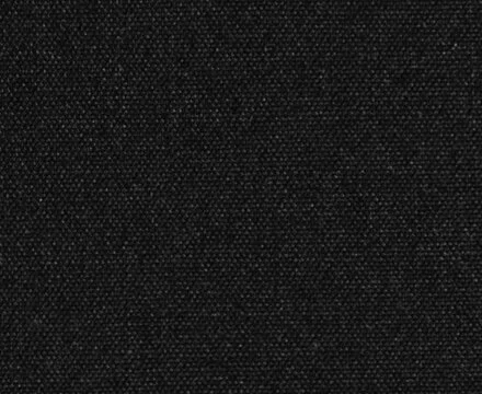 black-20190830.jpg