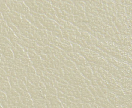 ivory-20190830.jpg