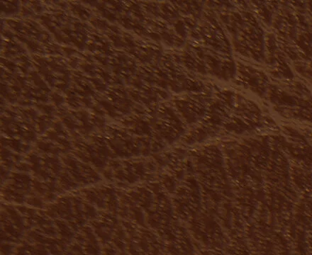 cinnamon-20190830.jpg
