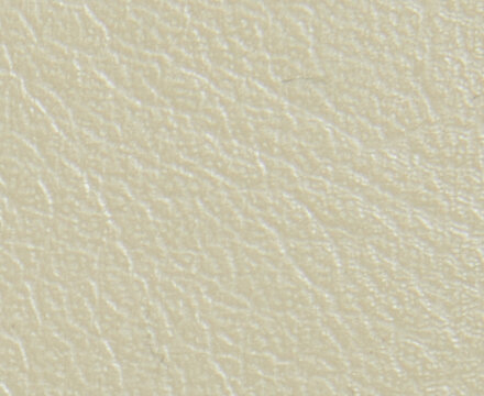 ivory-20190830.jpg