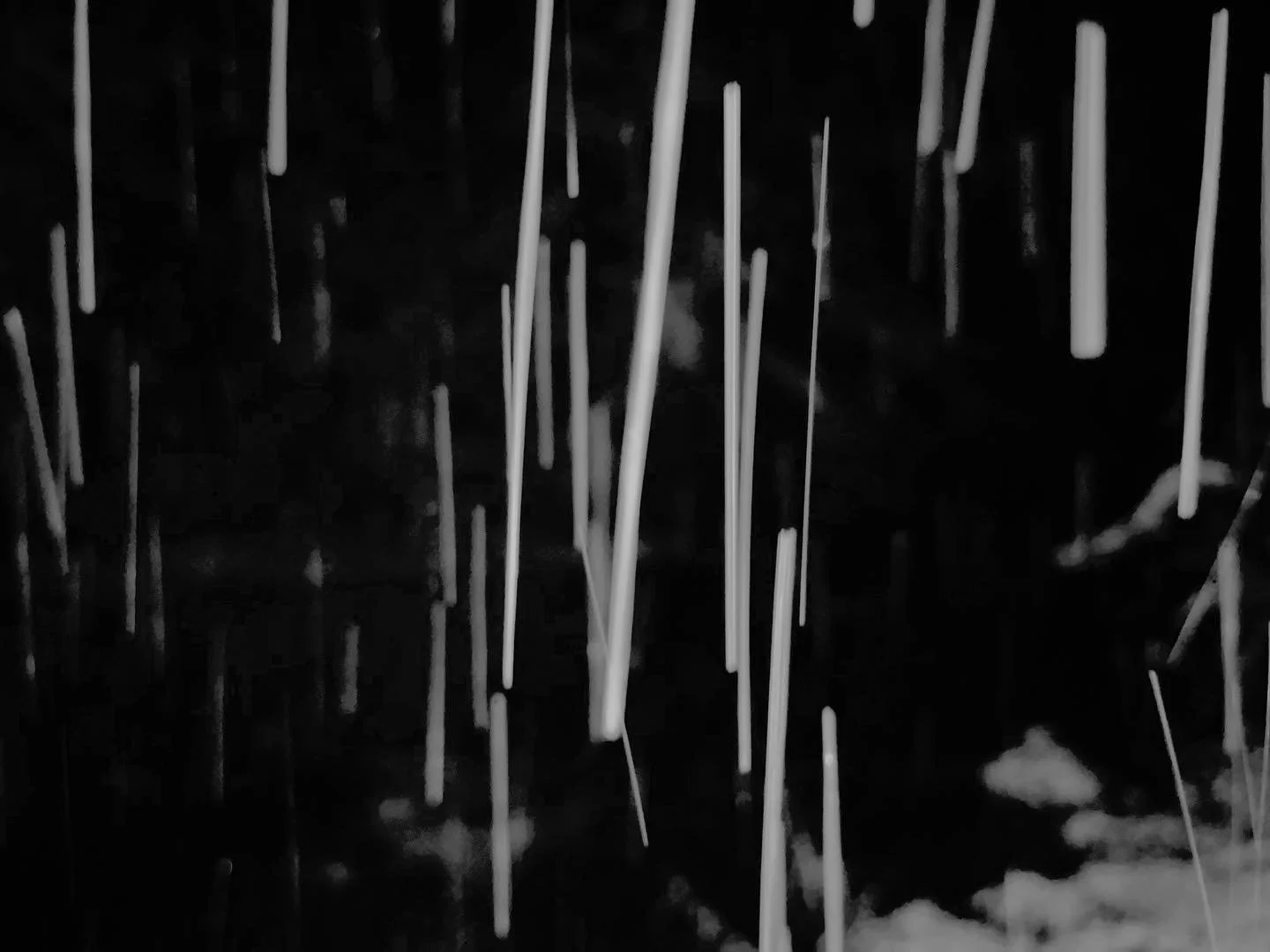 Allegheny Snow Drops 