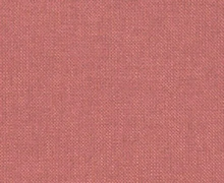 classic-pink-rose.jpg