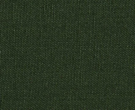 forest-green-20190830.jpg