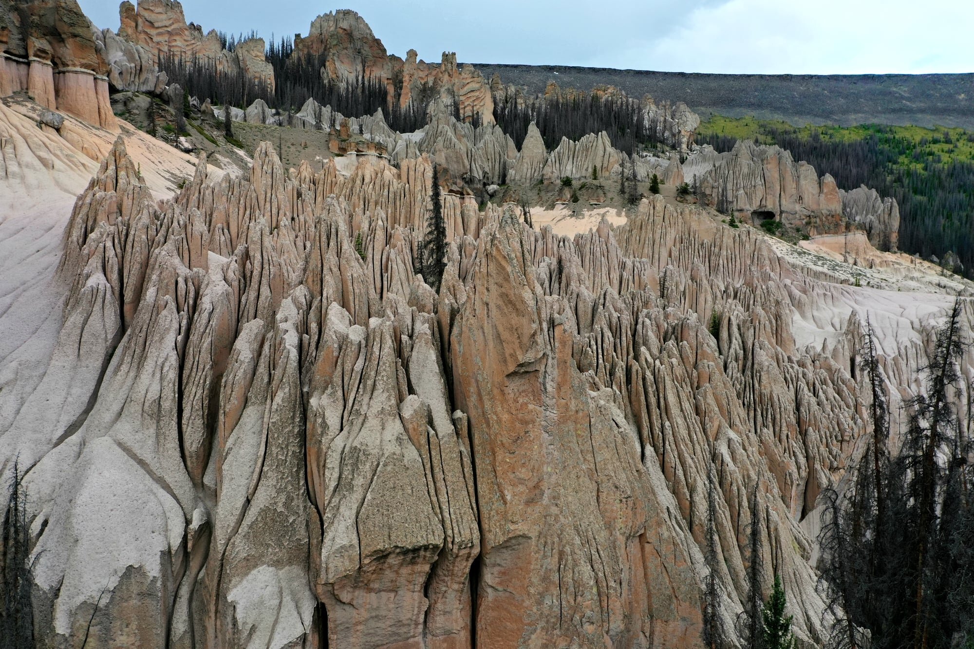 Wheeler geologic area