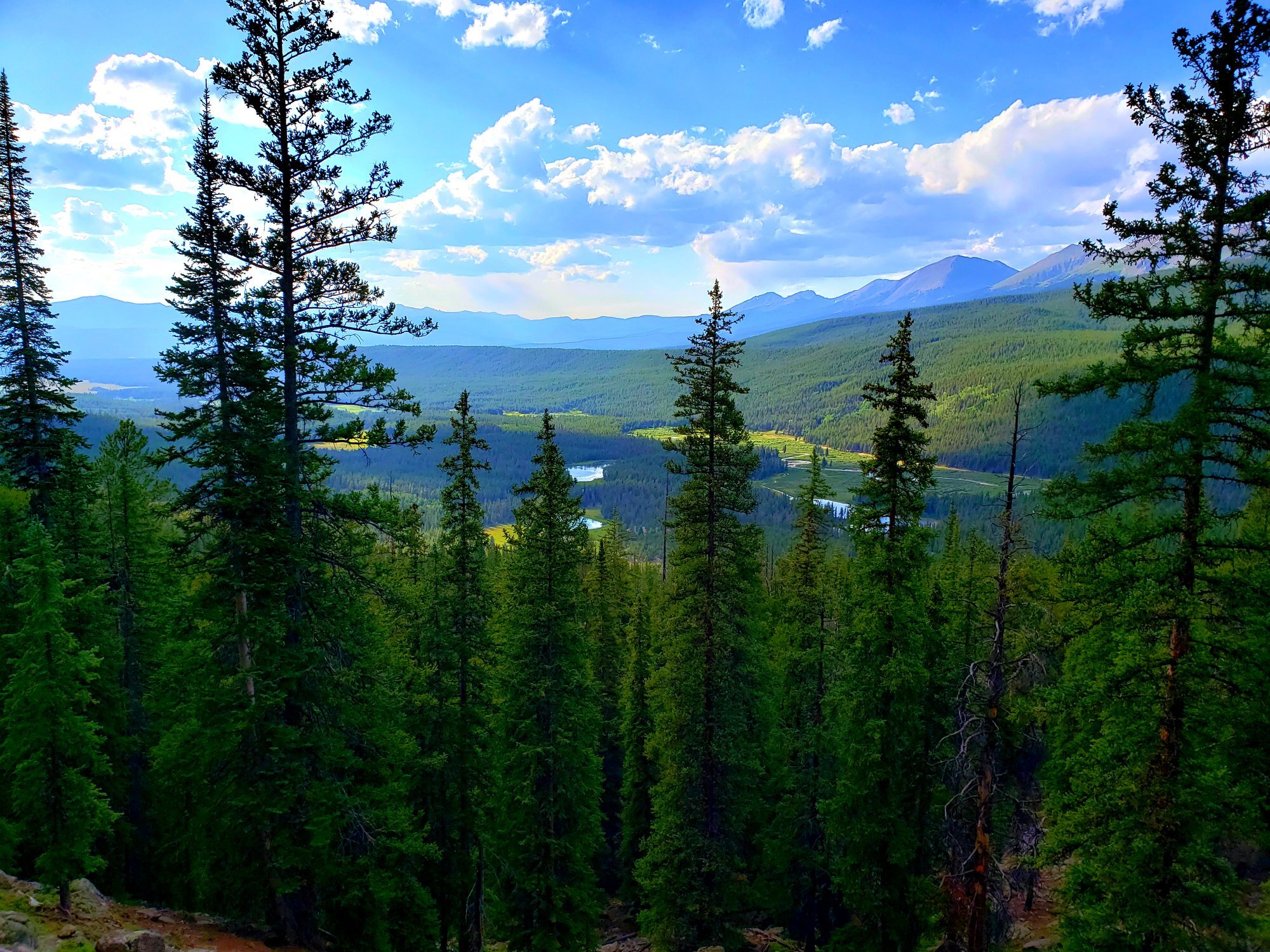 Overlooking Taylor Park's lakes