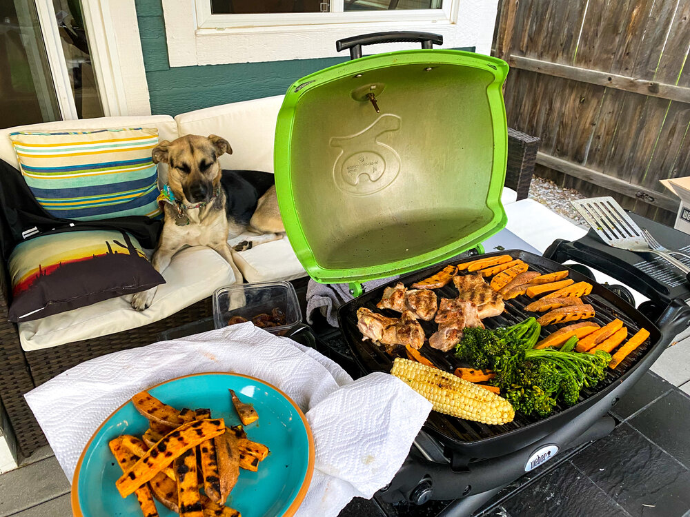 tack umoral koks Is the Weber Q 1200 the ultimate camp grill? — Colorado Camping and Dirt  Biking