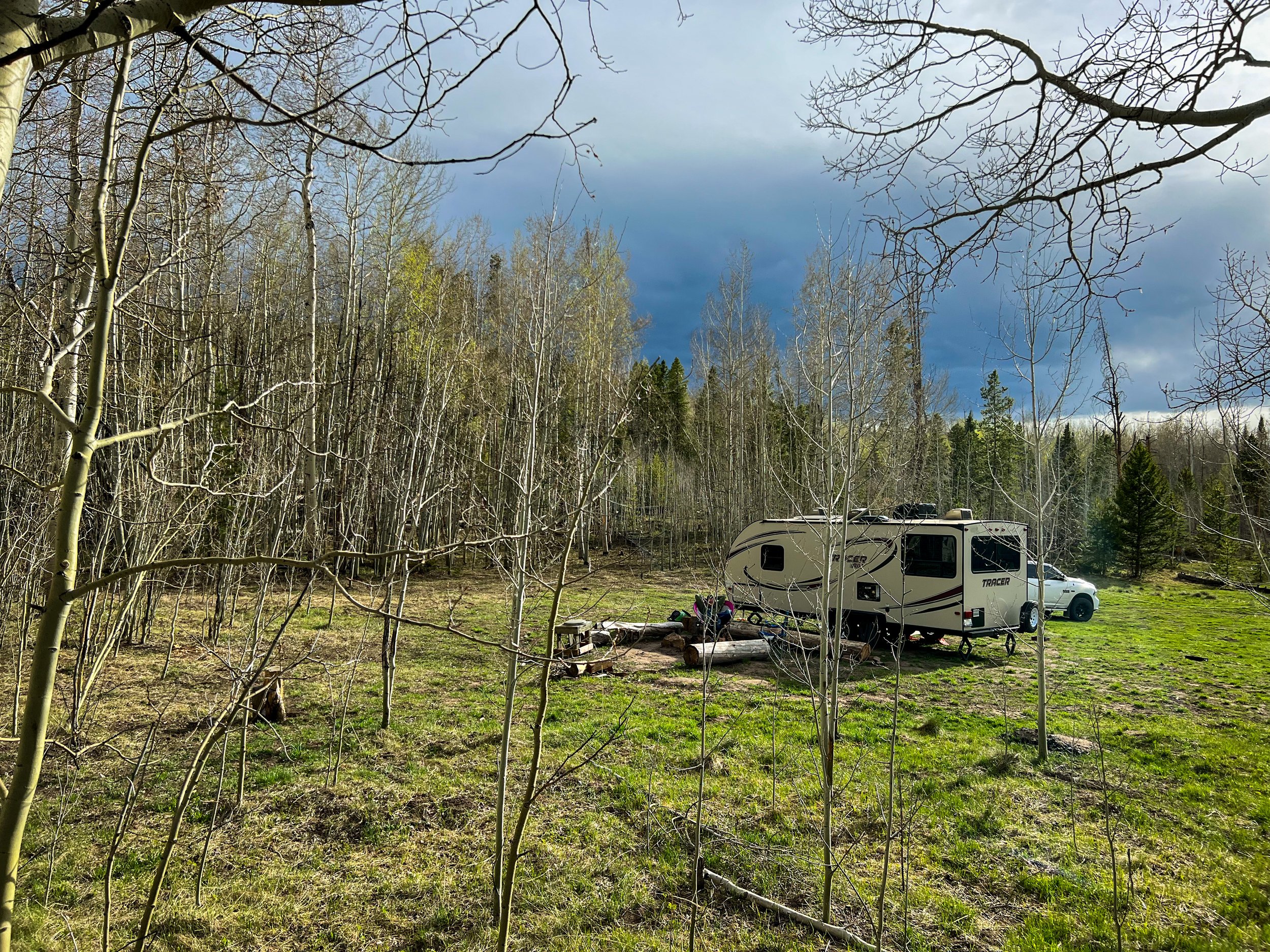  We were surrounded by Aspens that would be beautiful a few weeks later into the spring!  