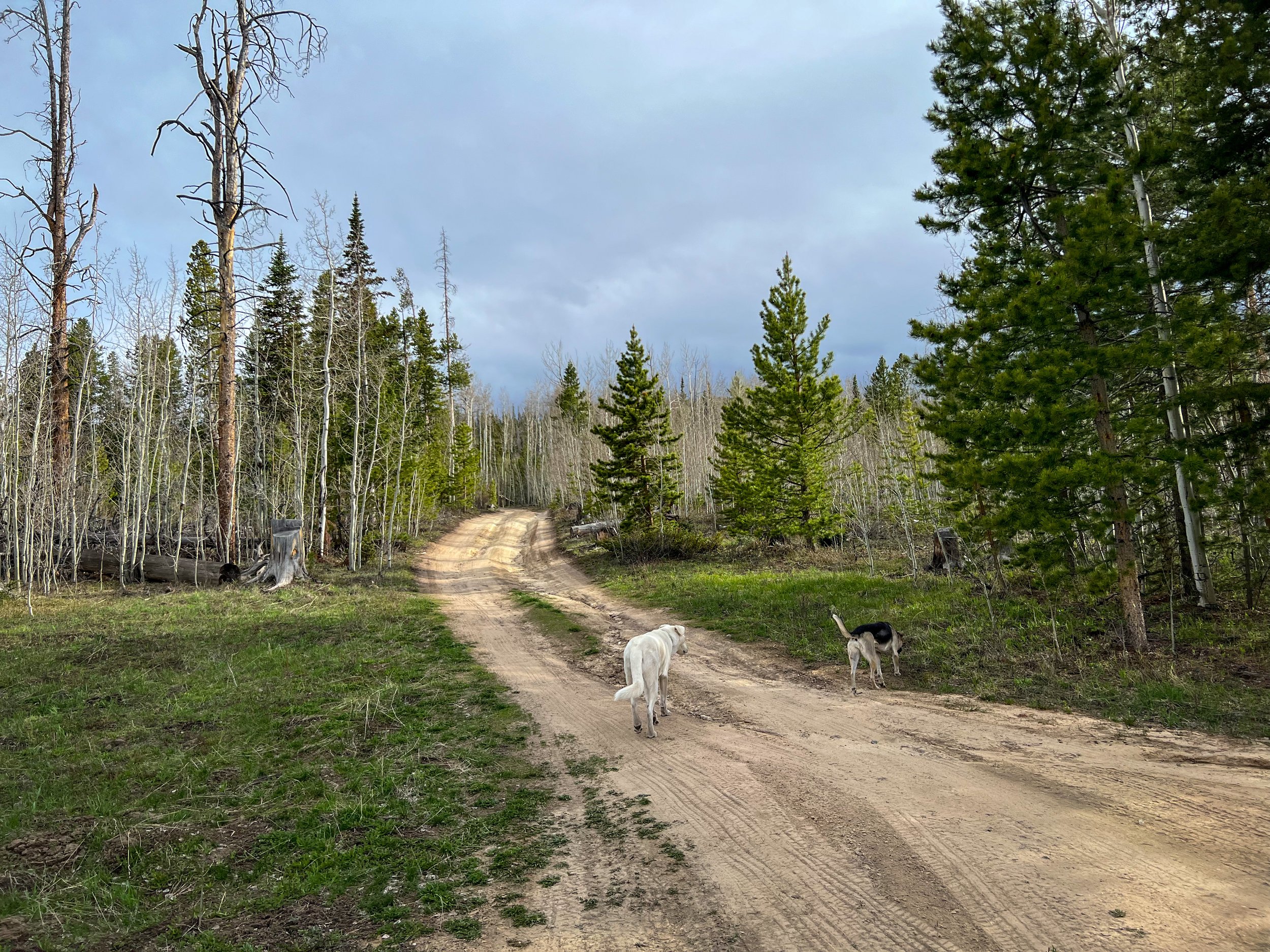 Road down to campsite. 