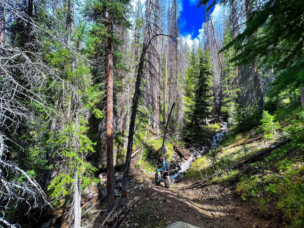 Snow runoff creeks and falls