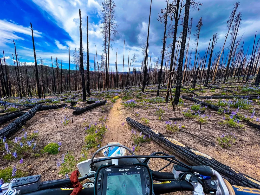 My Trailtech is my fav riding accessory