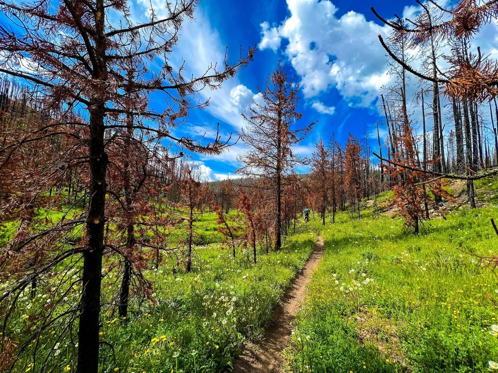 The singletrack is so smooth here (in most parts)