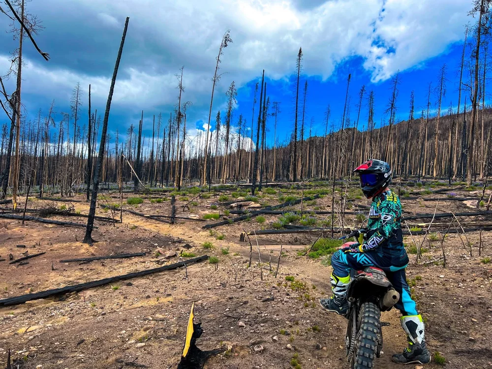 Jonathan posing pretty for me