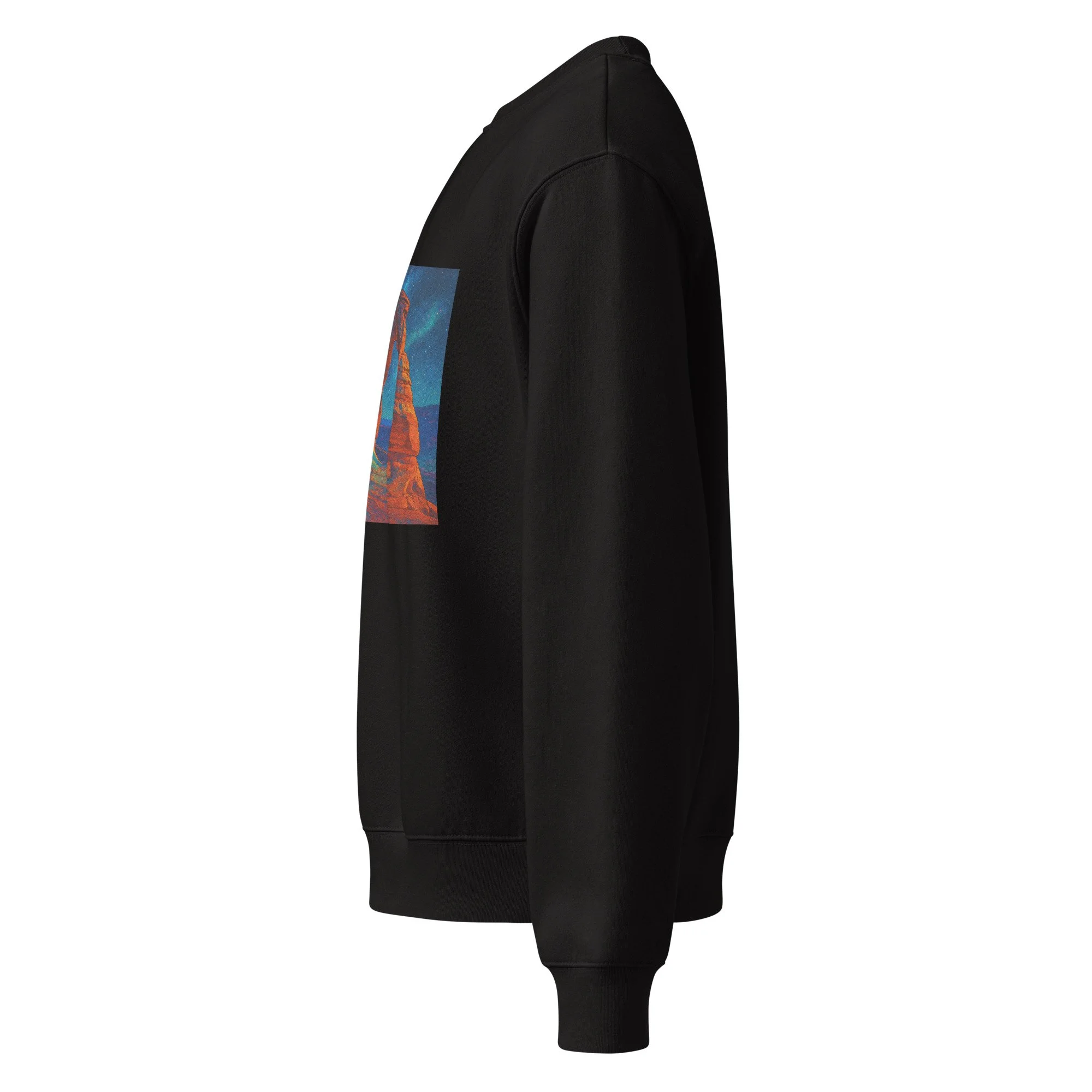 unisex-oversized-heavyweight-sweatshirt-black-left-689794f731f8d.jpg