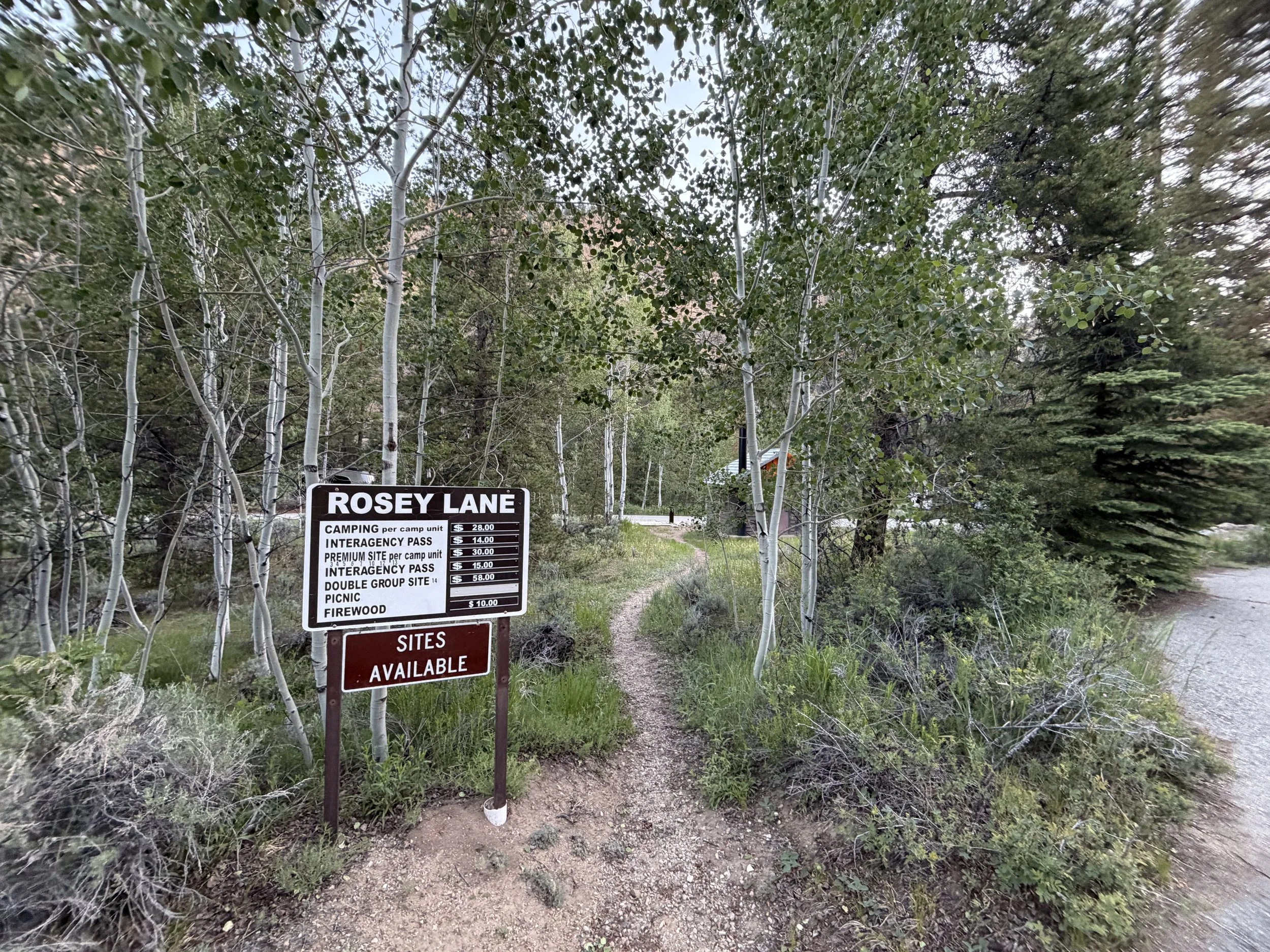 Rosey Lane Campground in Almont, CO (near Crested Butte and Taylor Park)