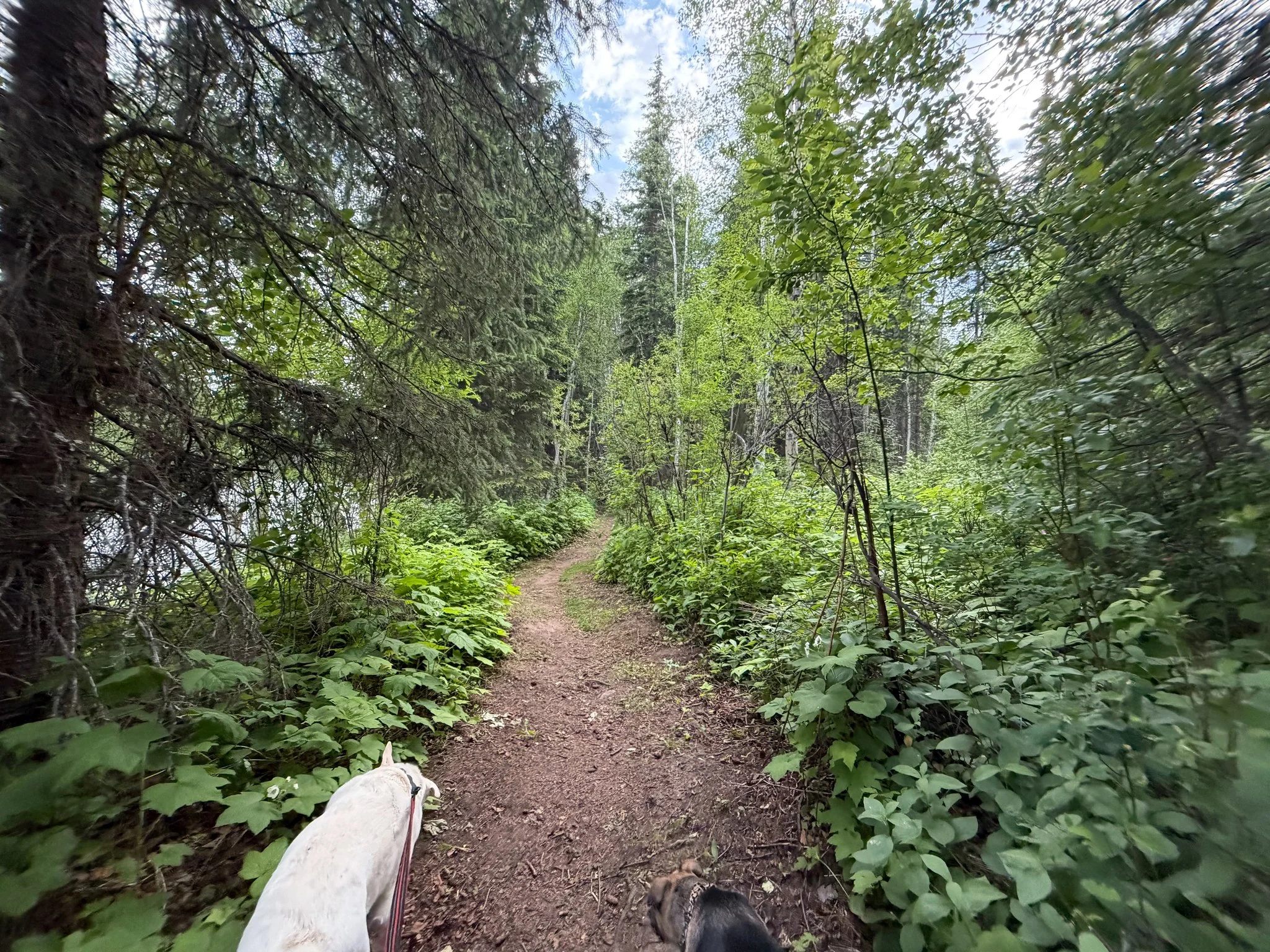 BearLake-5.jpg
