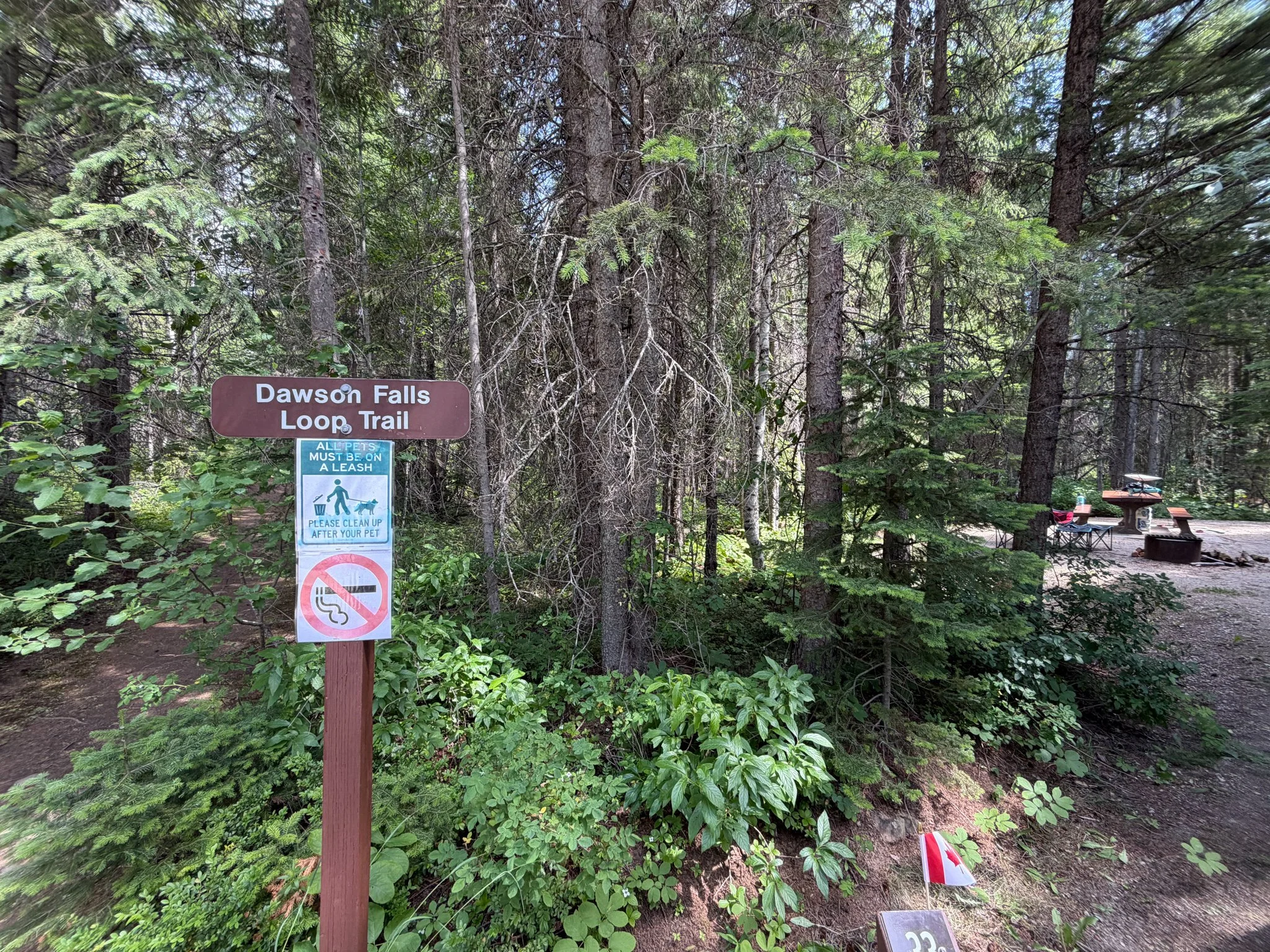 BearLake-21.jpg