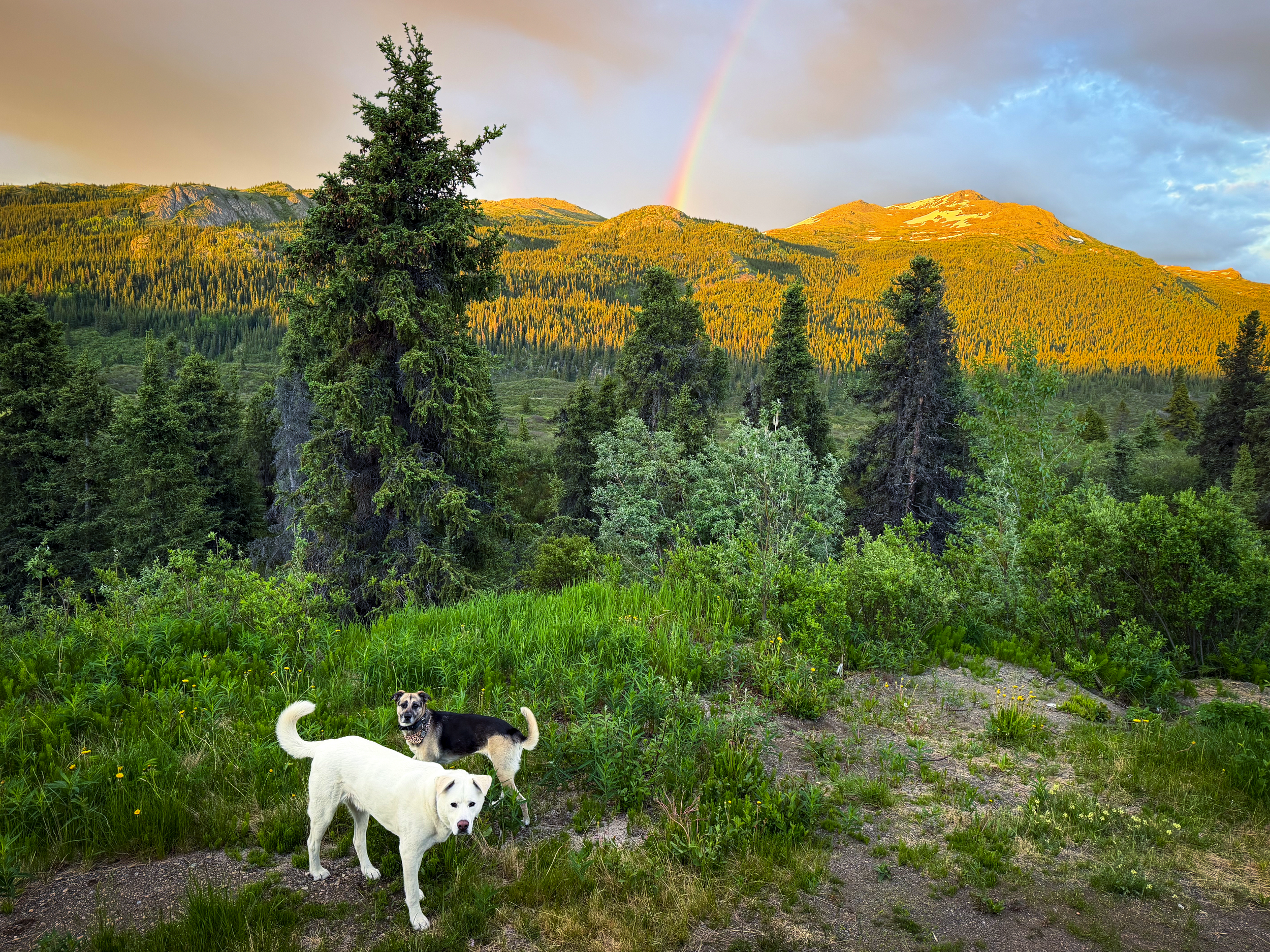 Dease Lake, B.C., Canada